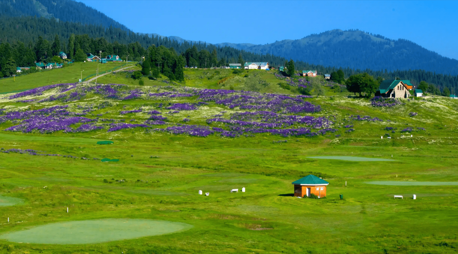 Kashmir’s Doodhpathri: Exploring the Mystical Valley of Milk