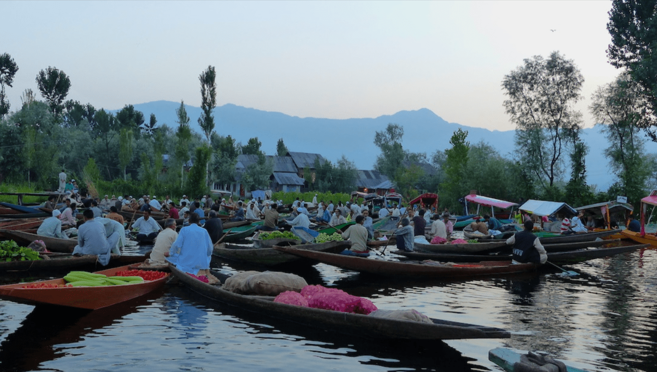 Dal Lake, Srinagar: A Close Look at Houseboats, Shikaras, and the Lake’s Unique Lifestyle