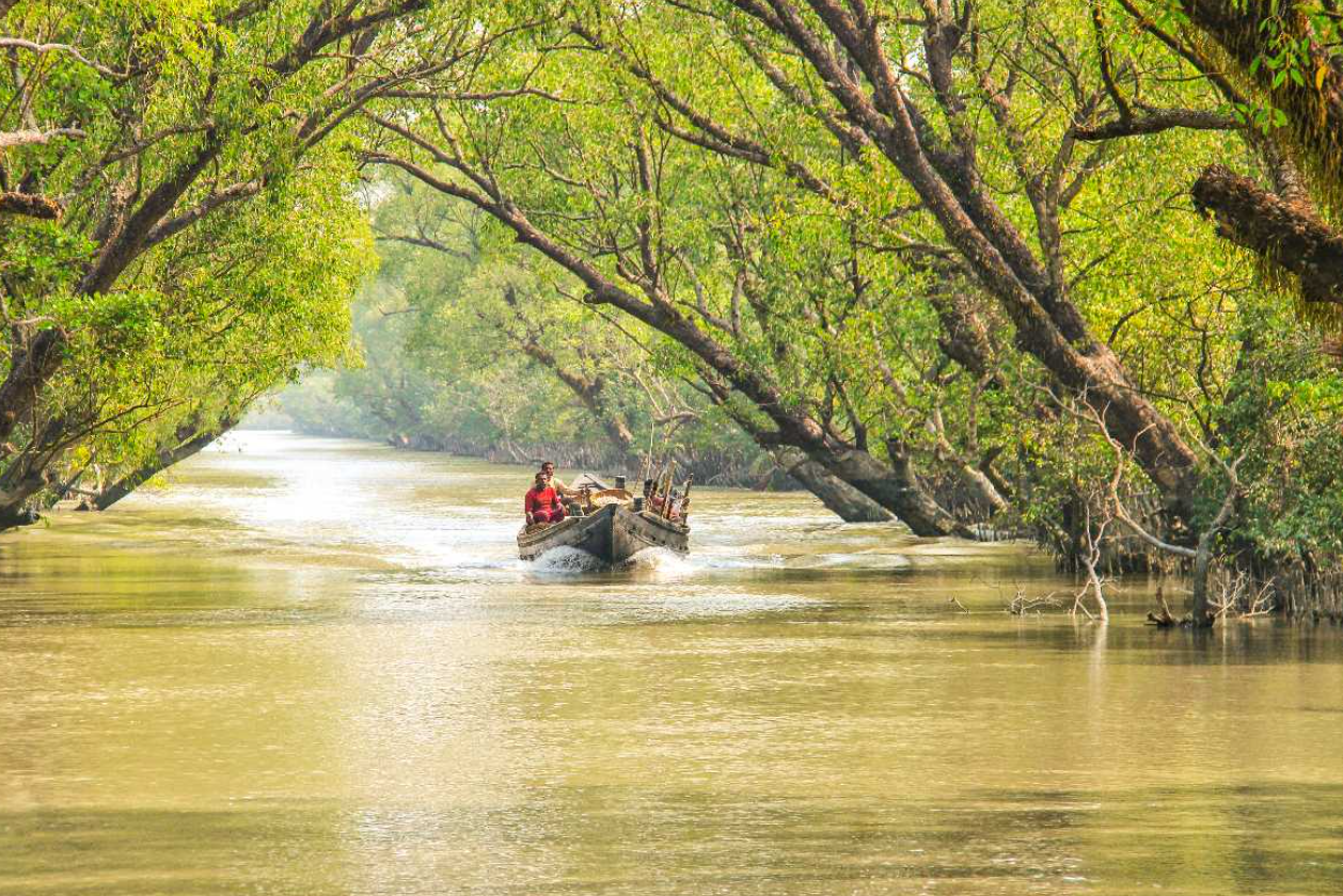 Why the Sundarbans Offers Unmatched Adventure Experiences for Travelers