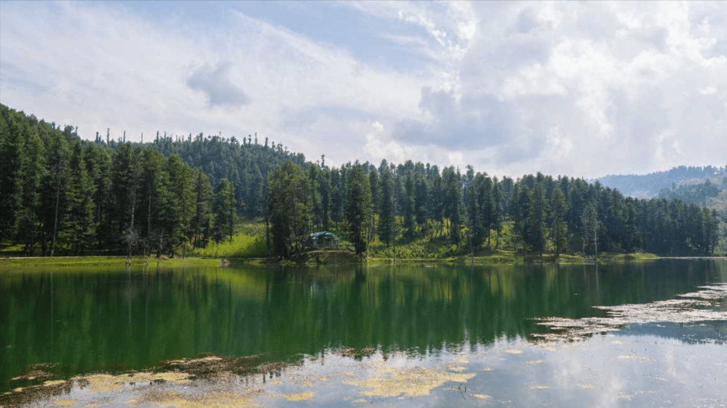 Exploring Yusmarg: Your Complete Guide to Kashmir’s Hidden Paradise